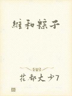 维和粽子