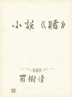 小说《赌》