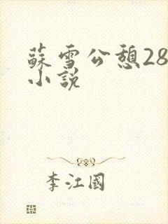苏雪公憩28篇小说