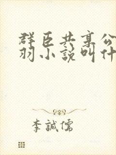 群臣共享公主银羽小说叫什么