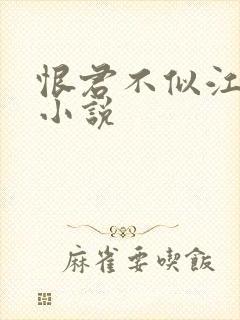 恨君不似江楼月小说