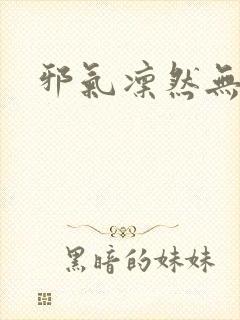 邪气凛然无弹窗封面