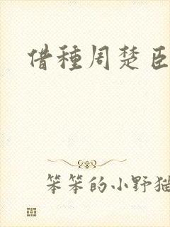 借种周楚臣封面