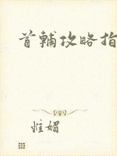 首辅攻略指南
