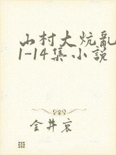 山村大炕乱肉续1-14集小说封面