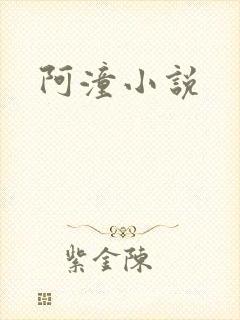 阿潼小说
