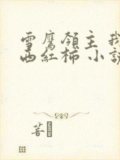 雪鹰领主 我吃西红柿 小说