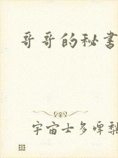 哥哥的秘书