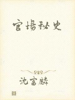 官场秘史封面