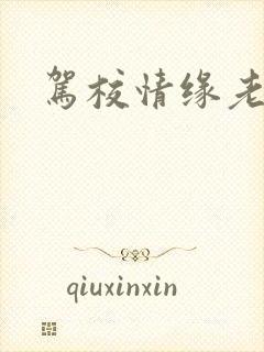 驾校情缘老赵