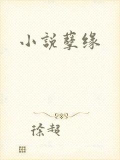 小说孽缘