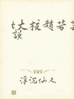 t大校赵若芸小说封面