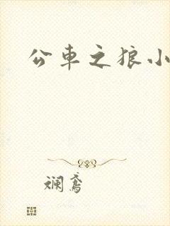 公车之狼小说