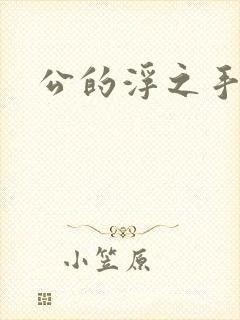 公的浮之手中字