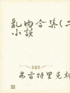 乱肉合集(二)小说