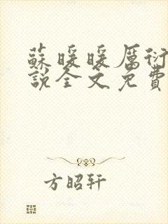 苏暖暖厉衍琛小说全文免费阅读