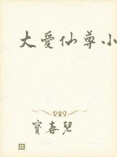 大爱仙尊小说
