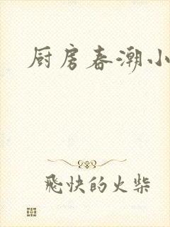 厨房春潮小说