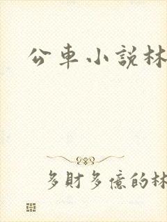 公车小说林蔓蔓