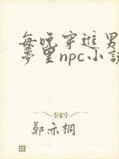 每晚穿进男神的梦里npc小说