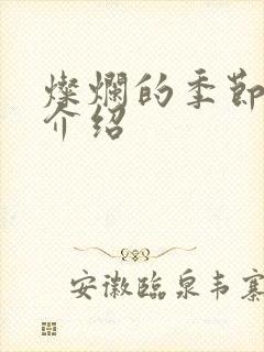 灿烂的季节剧情介绍