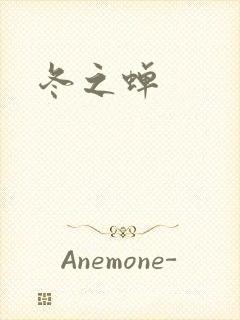 冬之蝉封面