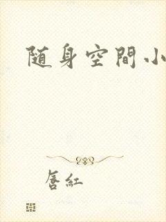 随身空间小说