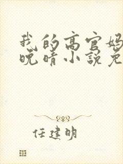 我的高官妈妈苏晚晴小说免费阅读
