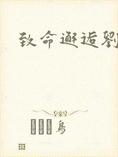 致命邂逅刘小寐