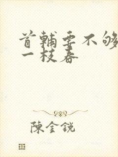 首辅要不够po一枝春封面