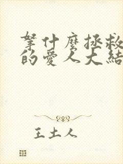 拿什么拯救你我的爱人大结局封面