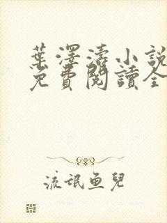 叶泽涛小说全文免费阅读全文封面