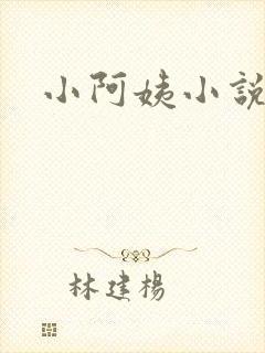 小阿姨小说