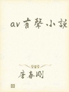av有声小说