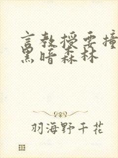 言教授要撞坏了黑暗森林