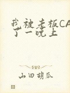 我被老板CAO了一晚上