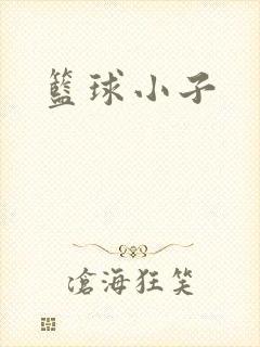 篮球小子