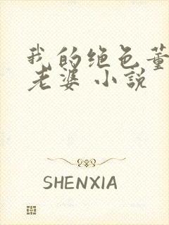 我的绝色董事长老婆 小说