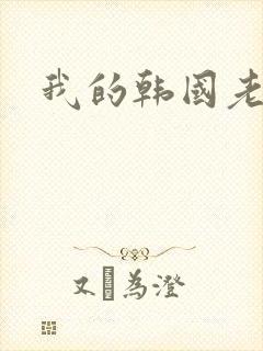 我的韩国老婆封面