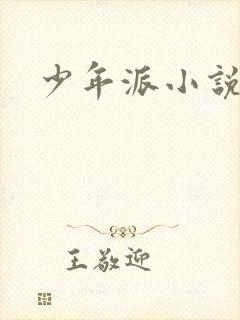少年派小说