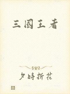 三国王者