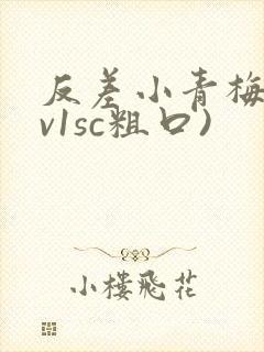 反差小青梅(1v1sc粗口)
