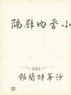 隔壁肉香小说