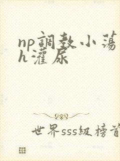 np调教小荡货h灌尿