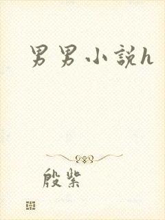 男男小说h