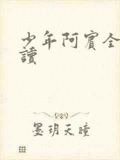 少年阿宾全集阅读封面