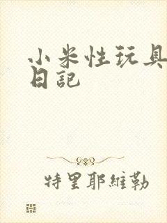 小米性玩具羞辱日记