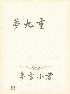 梦九重封面