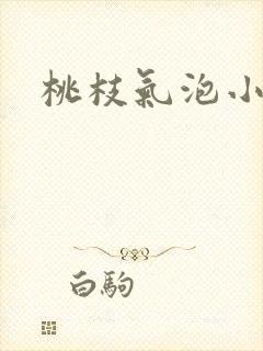 桃枝气泡小说