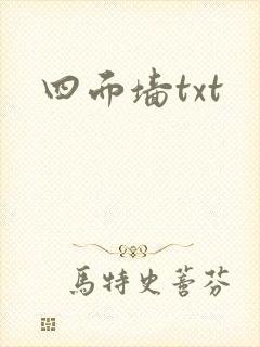 四面墙txt